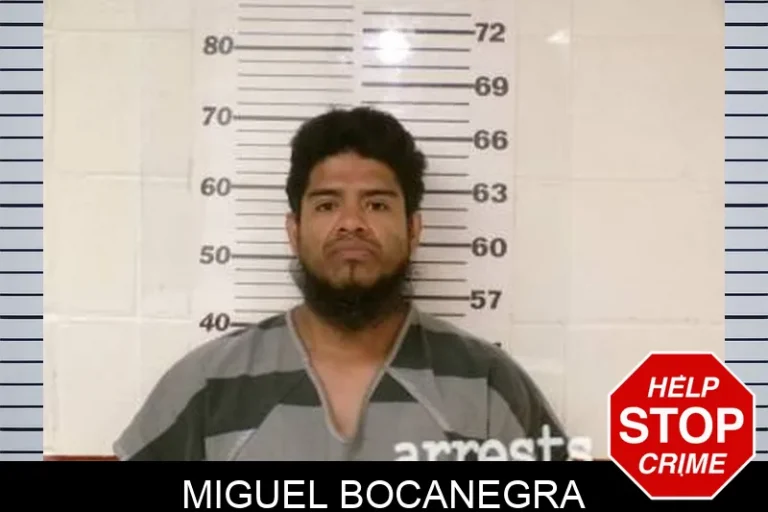 Miguel Bocanegra