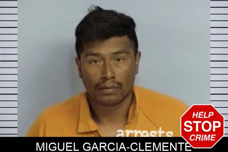 Miguel Garcia-Clemente