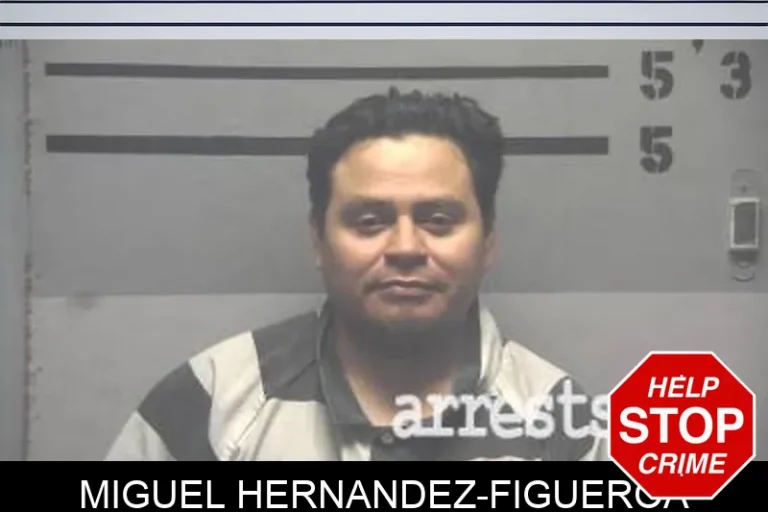 Miguel Hernandez-Figueroa