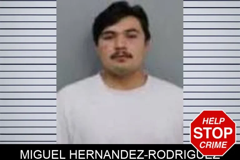Miguel Hernandez-Rodriguez