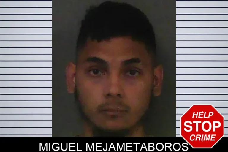 Miguel MejaMetaboros