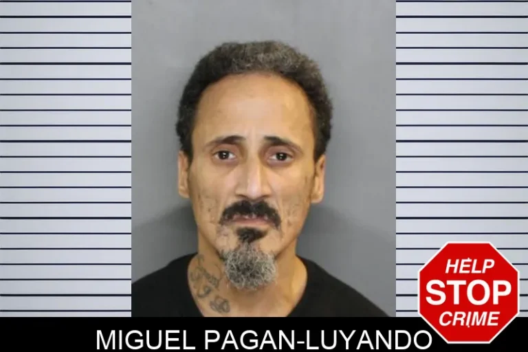 Miguel Pagan-Luyando