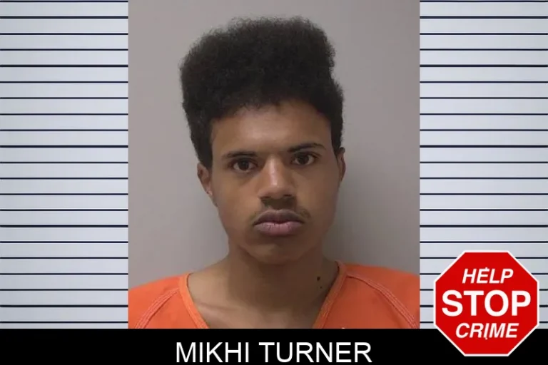 Mikhi Turner