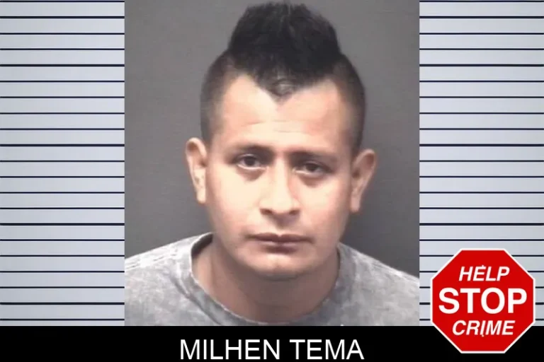 Milhen Tema