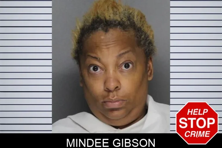 Mindee Gibson