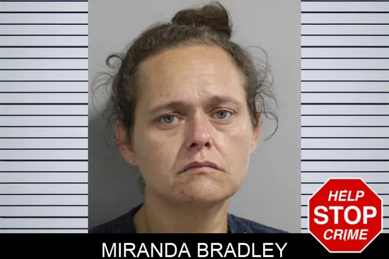 Miranda Bradley