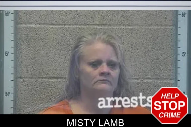 Misty Lamb