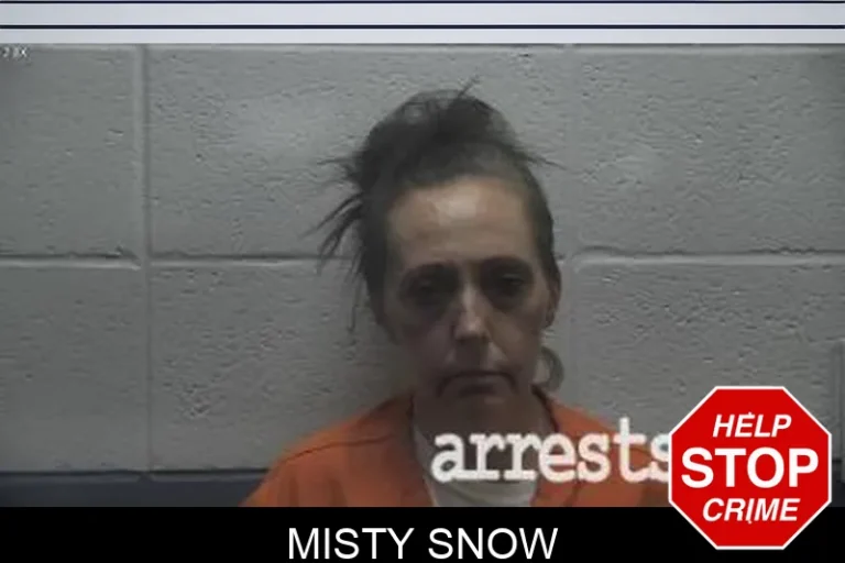 Misty Snow