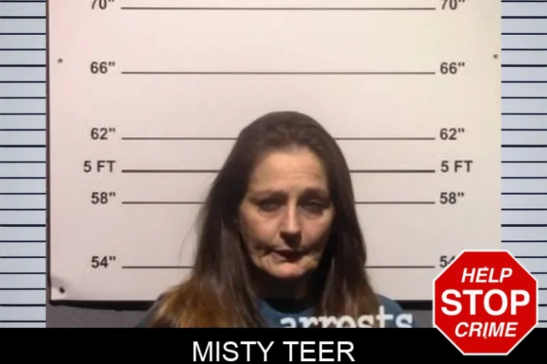 Misty Teer