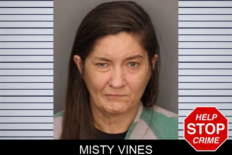 Misty Vines