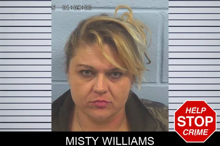 Misty Williams