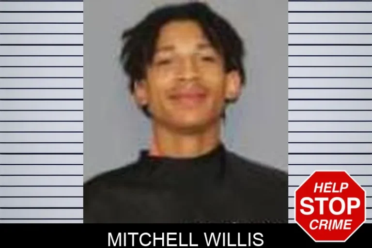 Mitchell Willis