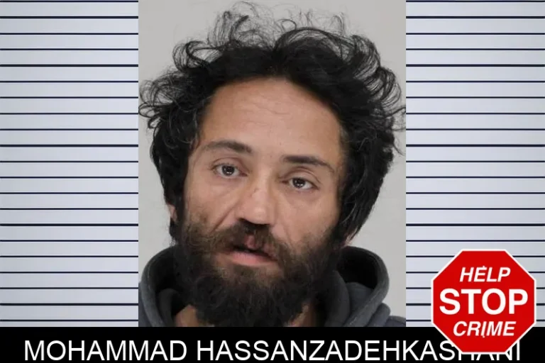 Mohammad Hassanzadehkashani