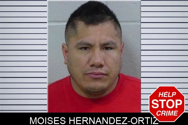 Moises Hernandez-Ortiz