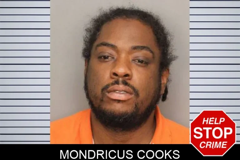 Mondricus Cooks