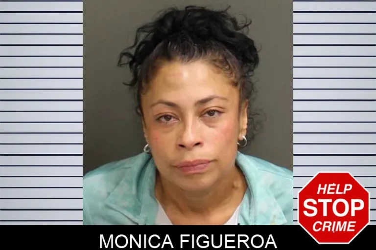 Monica Figueroa