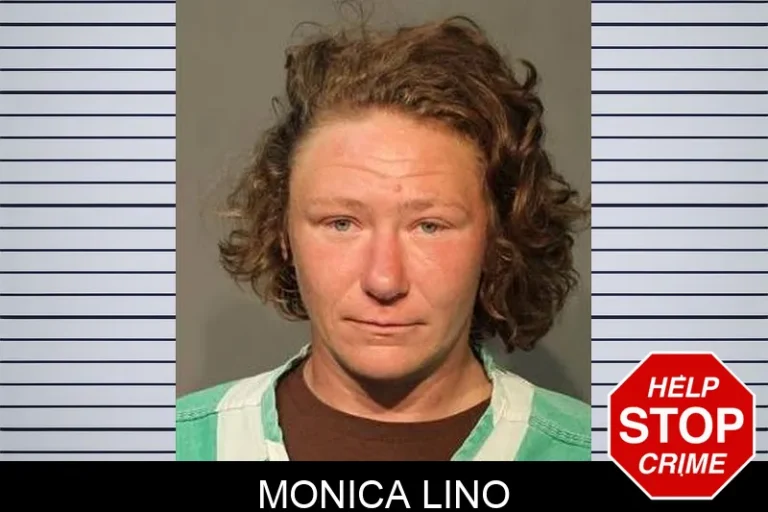 Monica Lino