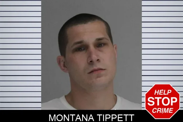 Montana Tippett