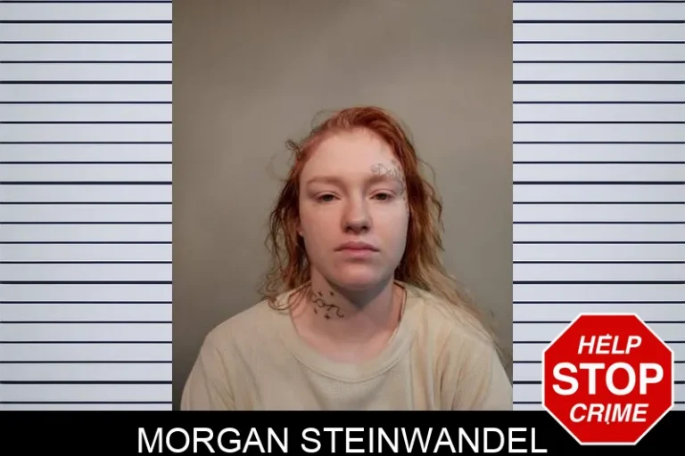 Morgan Steinwandel