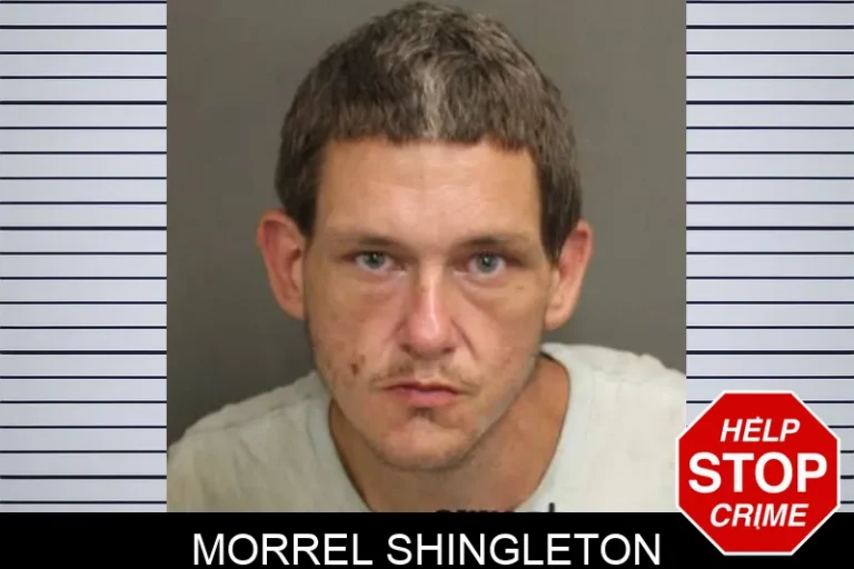 Morrel Shingleton