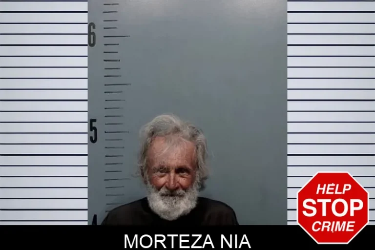Morteza Nia