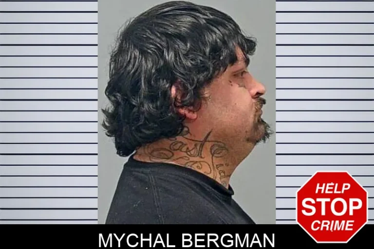Mychal Bergman