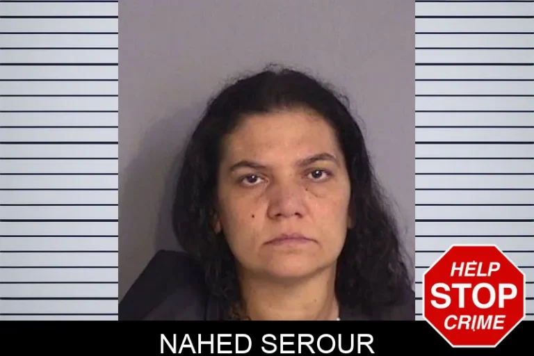 Nahed Serour