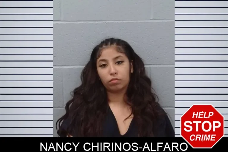 Nancy Chirinos-Alfaro