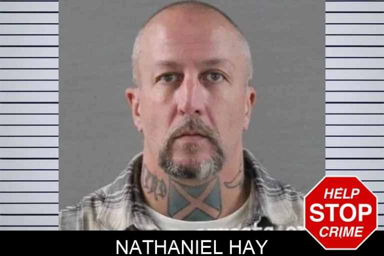 Nathaniel Hay