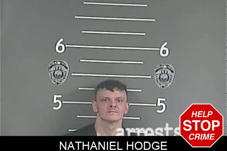 Nathaniel Hodge