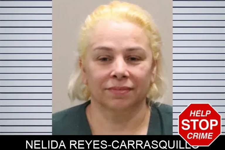 Nelida Reyes-CarrasquIllo