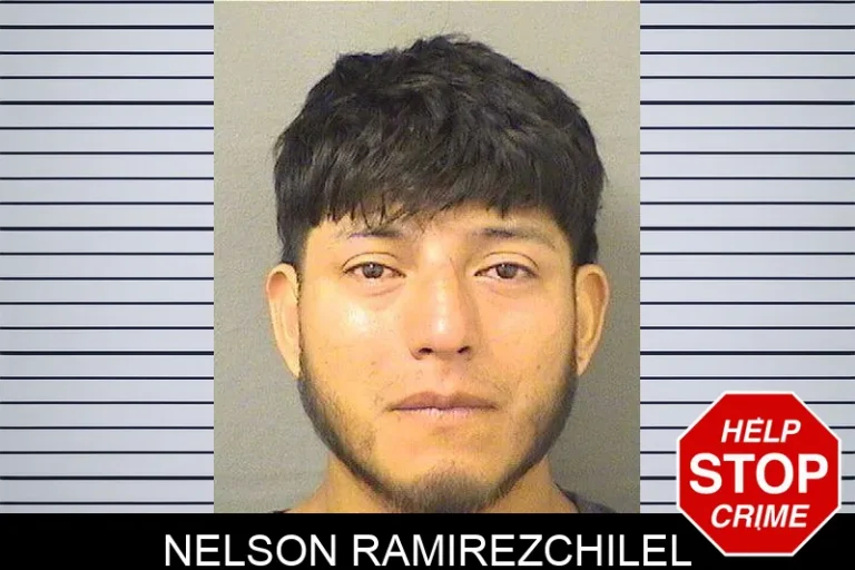 Nelson Ramirezchilel