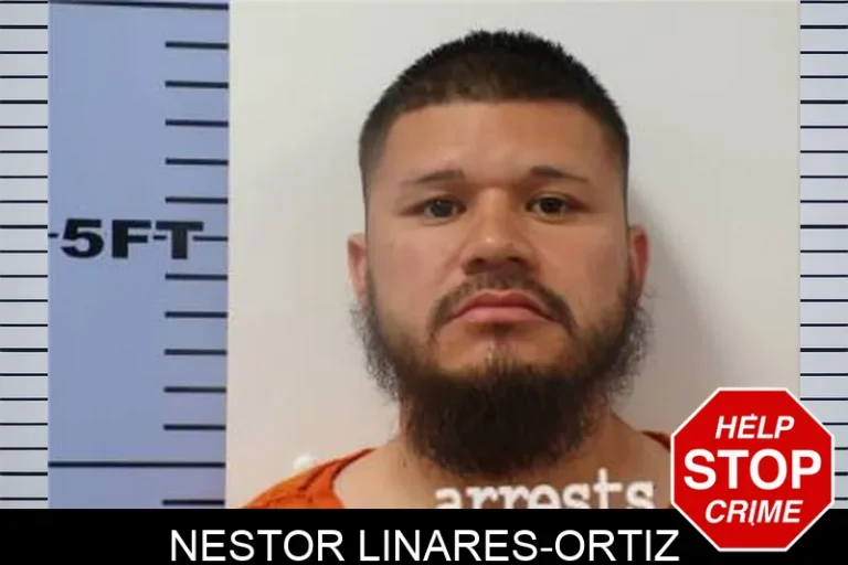 Nestor Linares-Ortiz