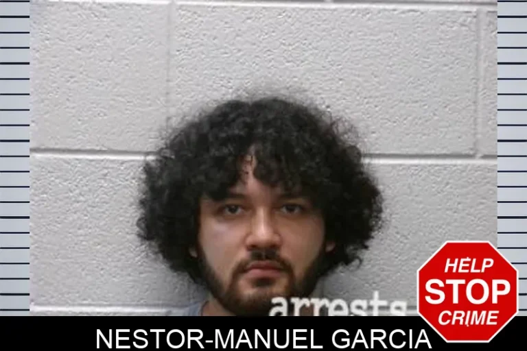 Nestor-Manuel Garcia