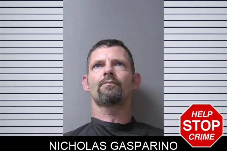 Nicholas Gasparino