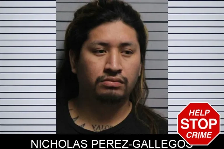 Nicholas Perez-Gallegos