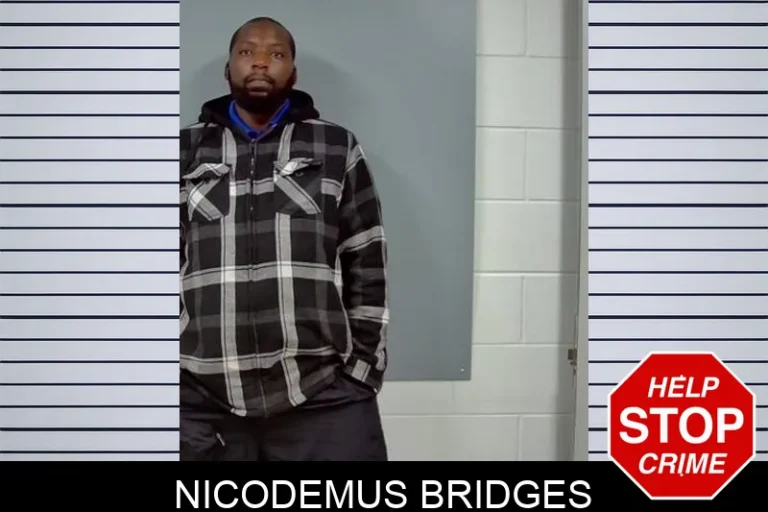 NicodemuS Bridges