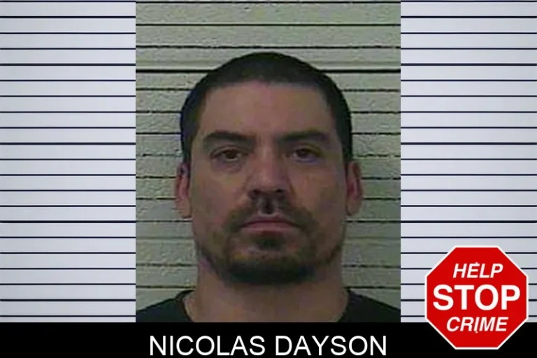 Nicolas Dayson