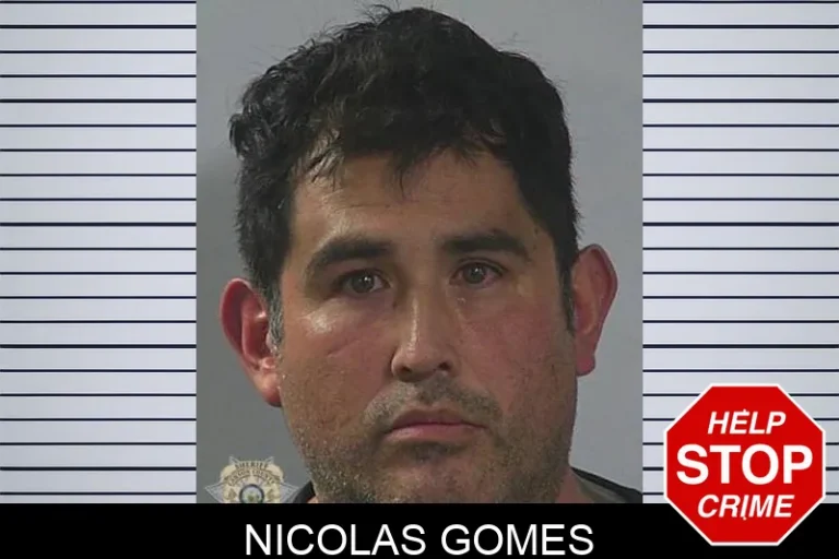 Nicolas Gomes