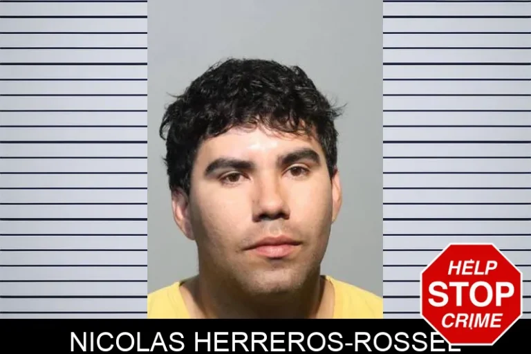 Nicolas Herreros-Rossel