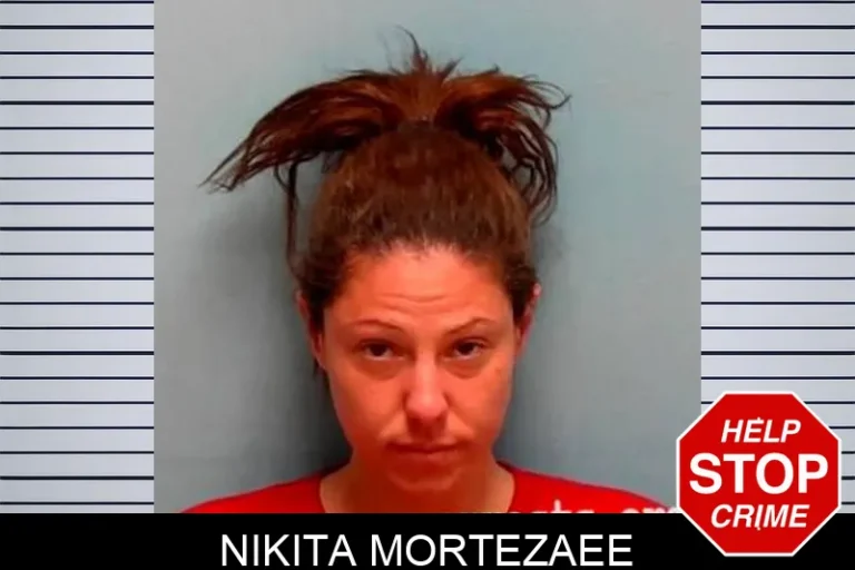 Nikita Mortezaee