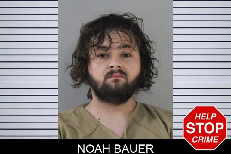 Noah Bauer