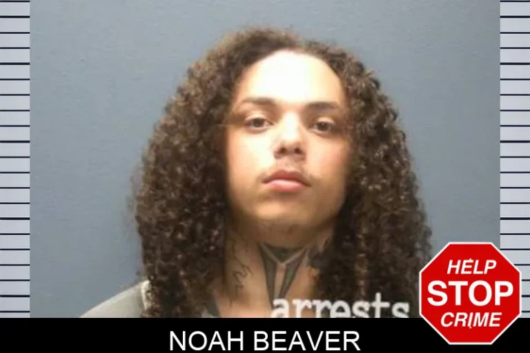 Noah Beaver