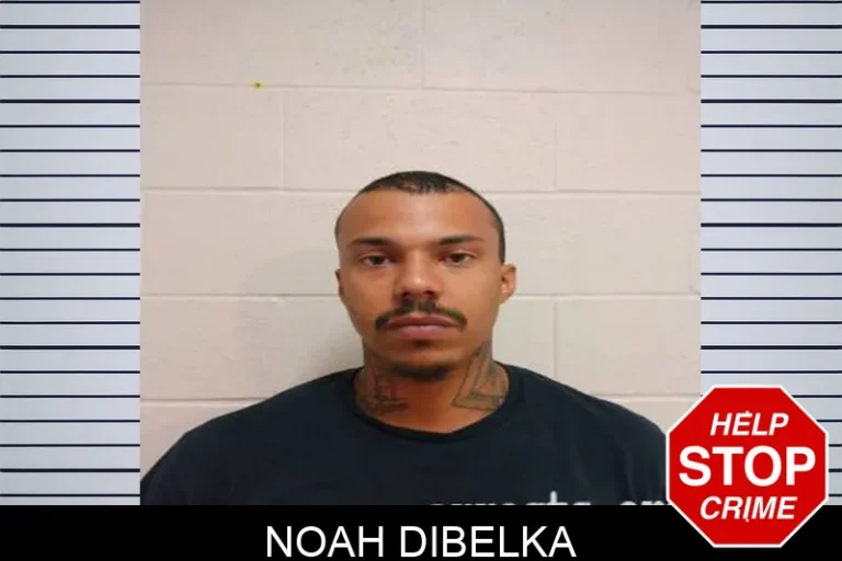 Noah Dibelka