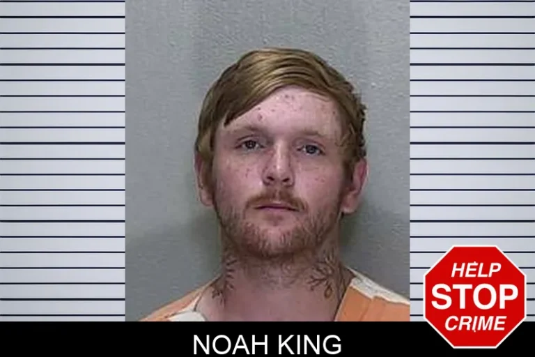 Noah King