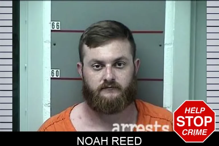 Noah Reed