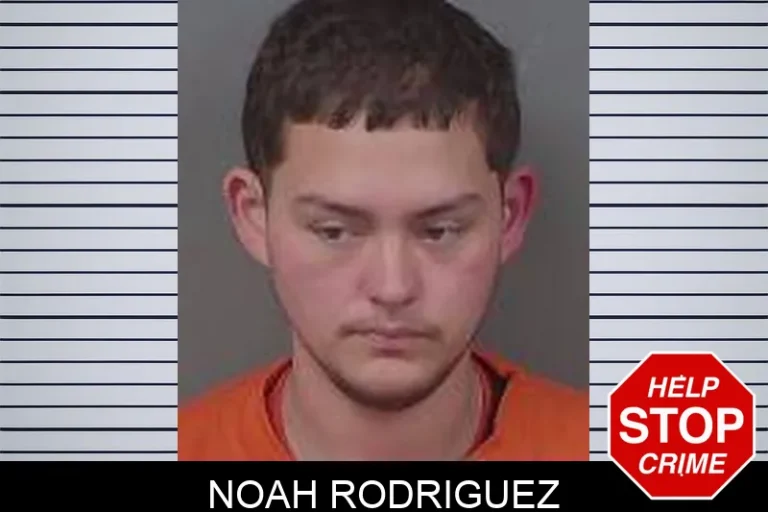 Noah Rodriguez