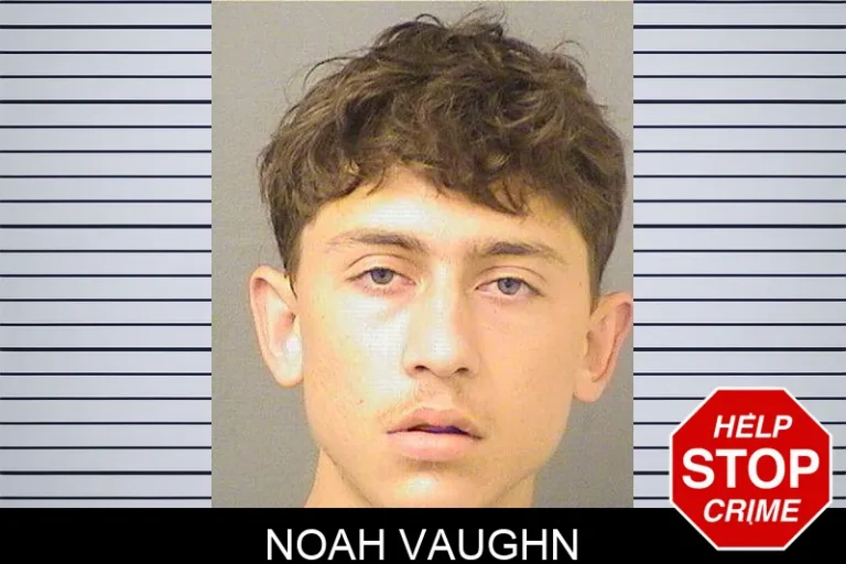 Noah Vaughn