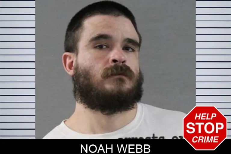 Noah Webb