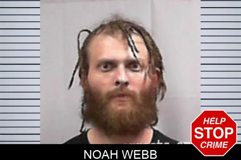 Noah Webb